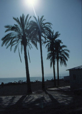 Abendstimmung in Torre del Mar